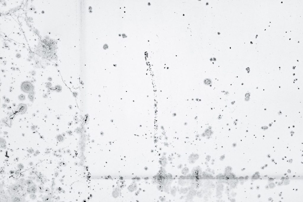 Small dark mold spots spreading across a white painted surface
